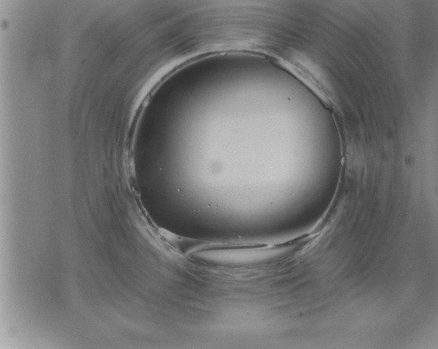 X0000075841340200609221655