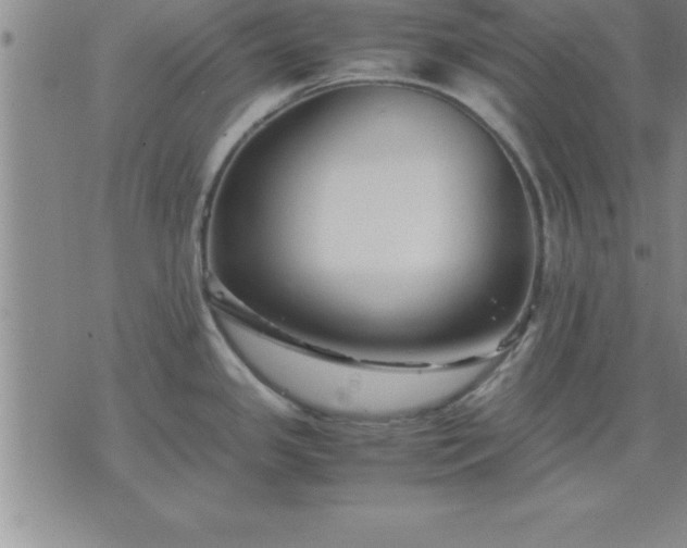 X0000075841341200609221655