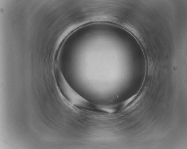 X0000075841342200609221655