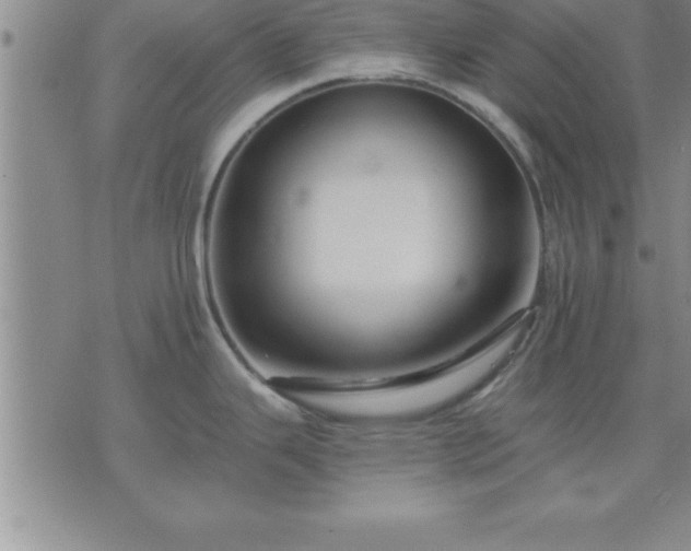 X0000075841343200609221655