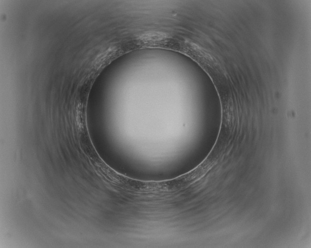 X0000075841346200609221655