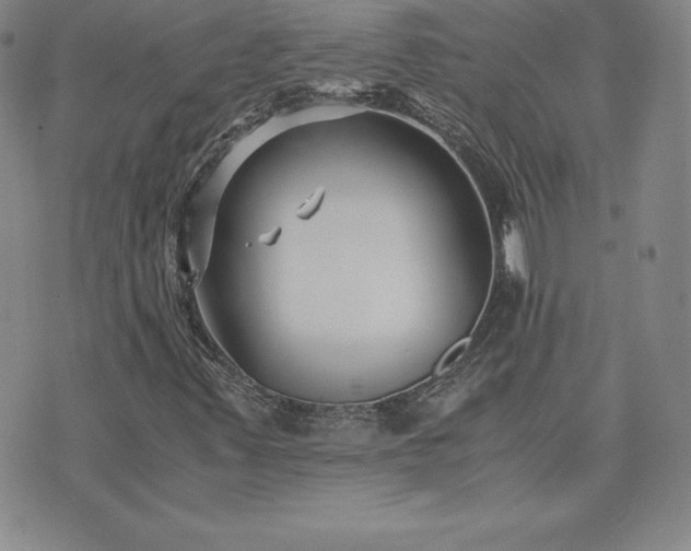 X0000075841347200609221655