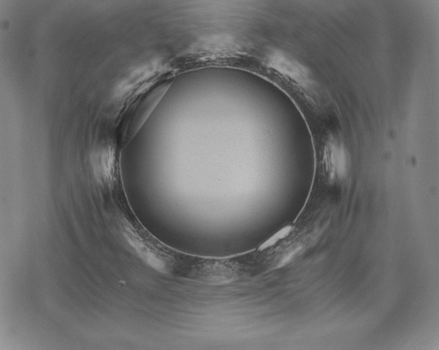 X0000075841348200609221655