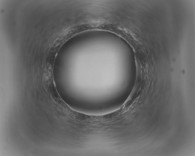 X0000075841349200609221654