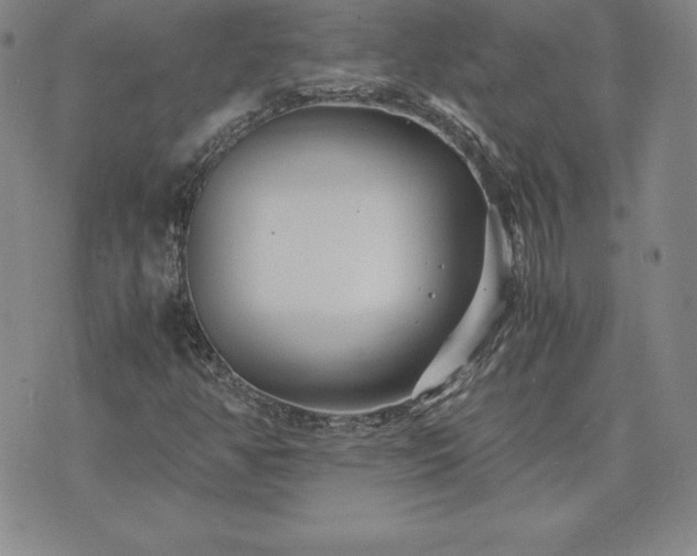 X0000075841350200609221654