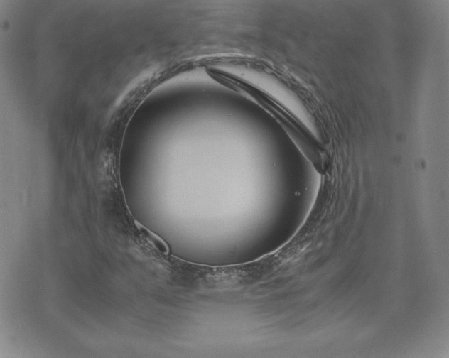 X0000075841351200609221654