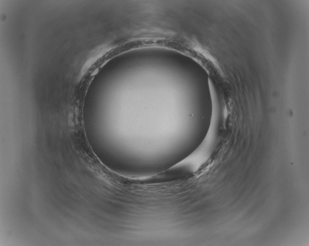 X0000075841352200609221654