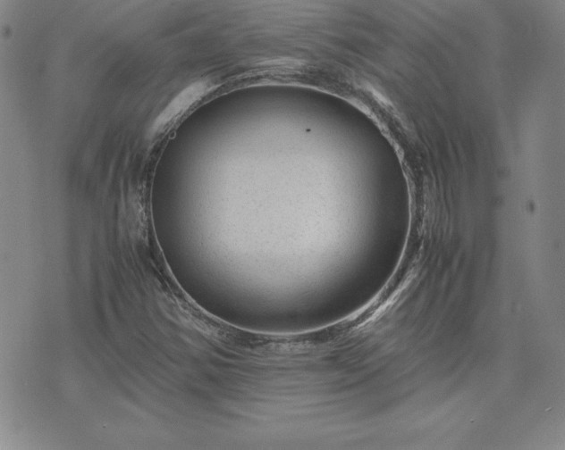 X0000075841354200609221654