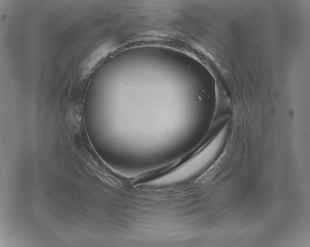 X0000075841355200609221654