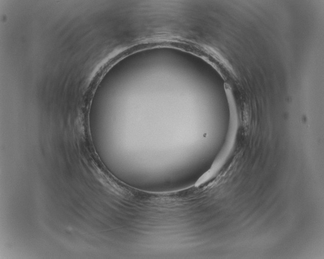 X0000075841356200609221654