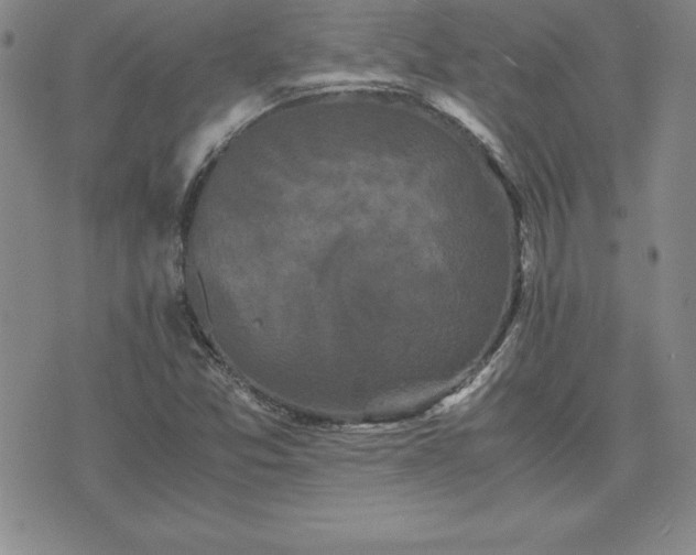 X0000075841357200609221654