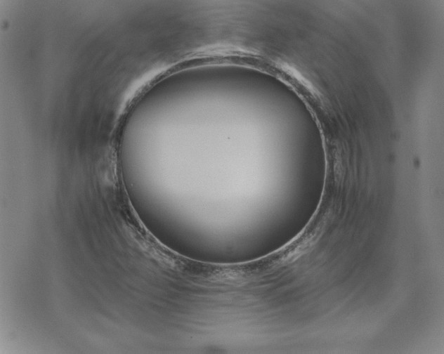 X0000075841358200609221654