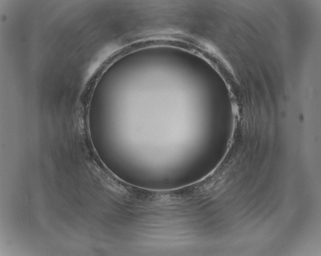 X0000075841360200609221654