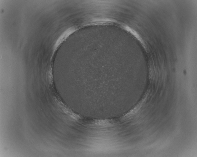 X0000075841362200609221654