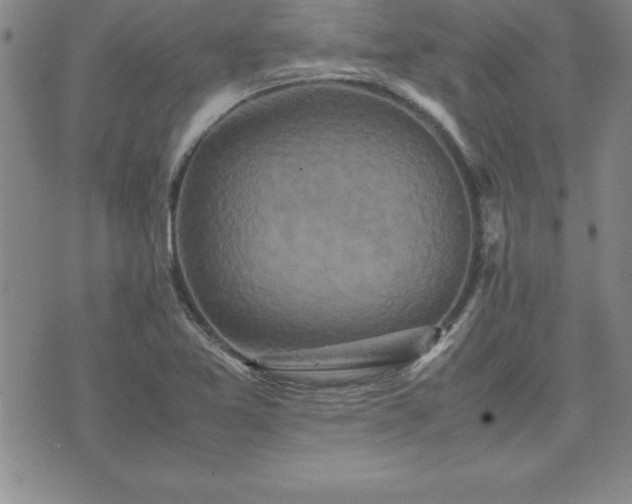 X0000075841365200609221654