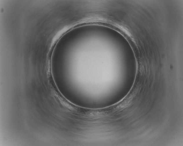 X0000075841366200609221654