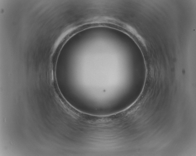 X0000075841368200609221654