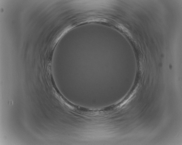 X0000075841369200609221654