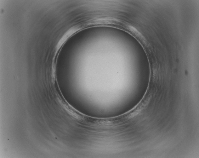 X0000075841370200609221654