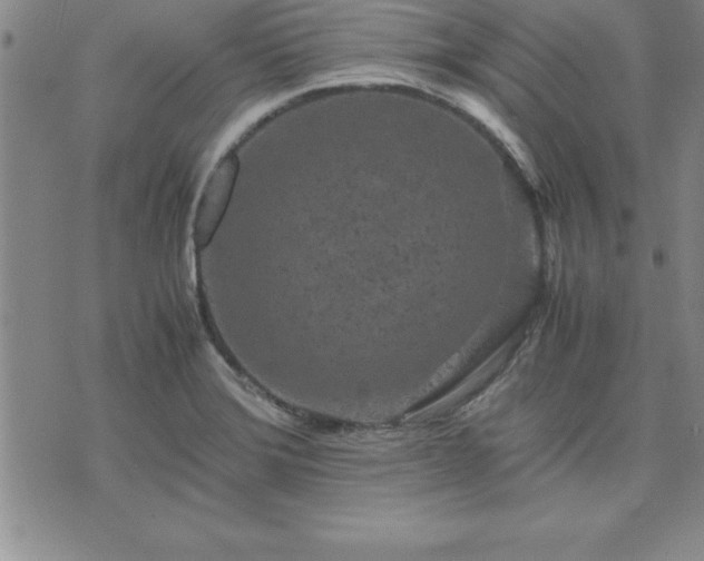 X0000075841372200609221654