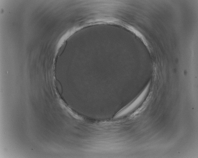 X0000075841373200609221654