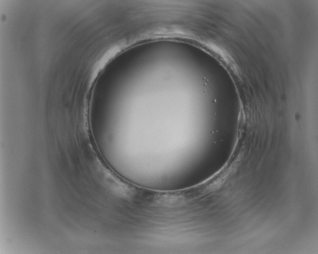 X0000075841374200609221654