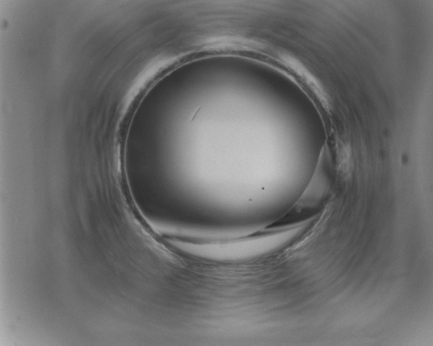 X0000075841376200609221654