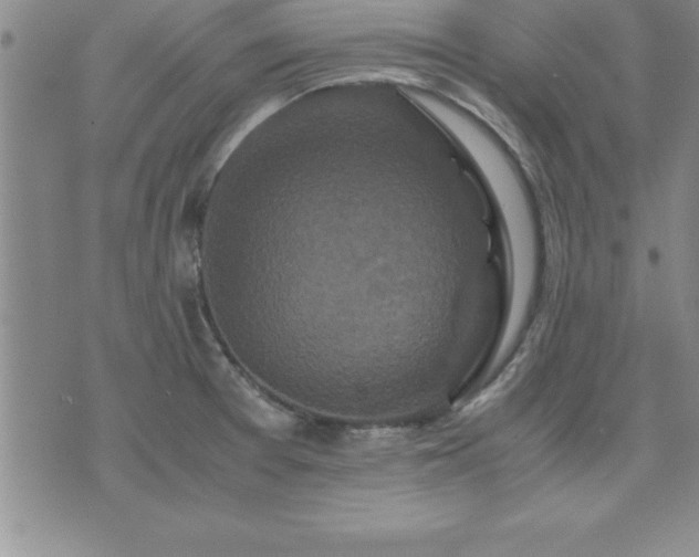 X0000075841377200609221654