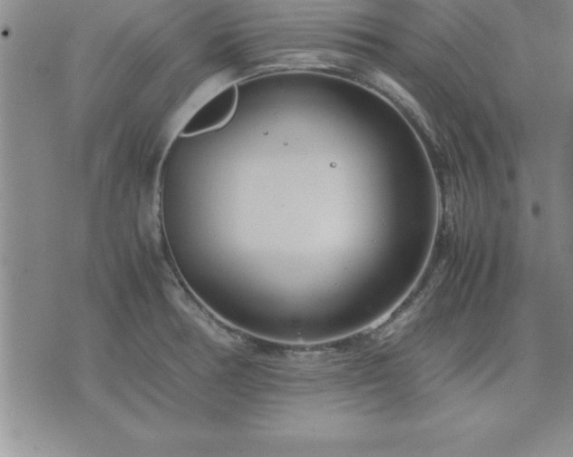 X0000075841378200609221654