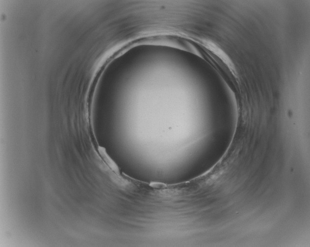 X0000075841380200609221654