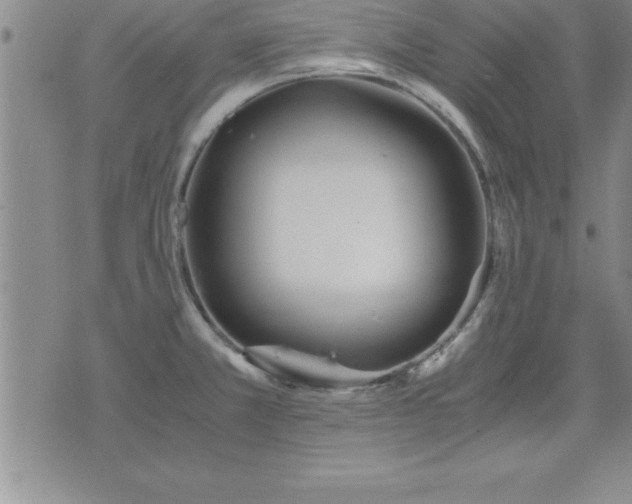 X0000075841381200609221654