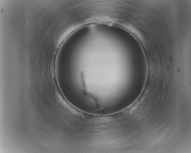 X0000075841382200609221654