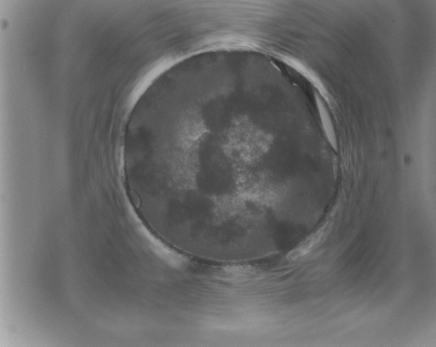 X0000075841383200609221654