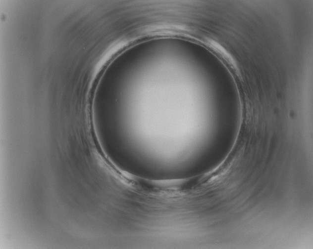 X0000075841384200609221654