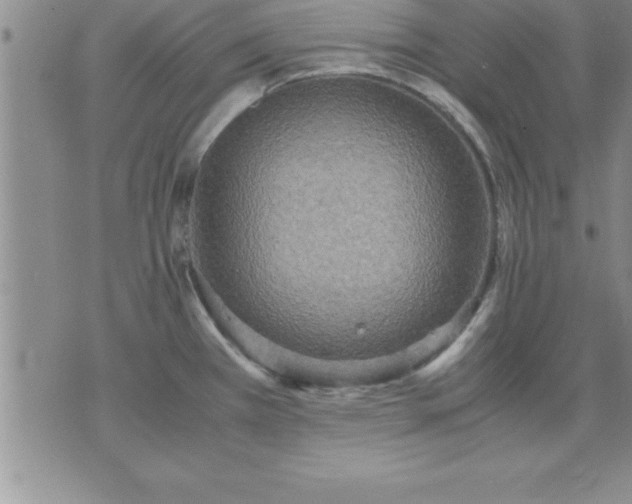 X0000075841385200609221654