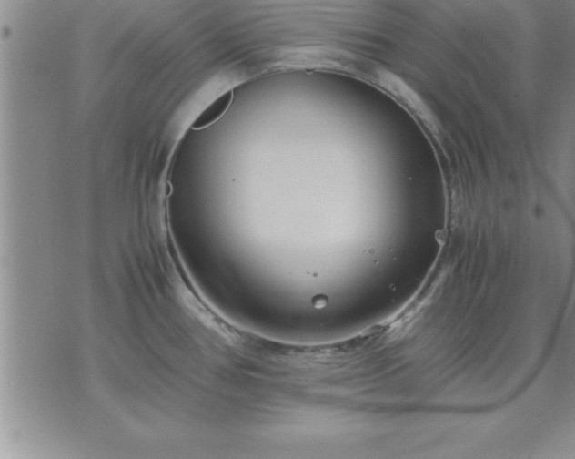 X0000075841386200609221654