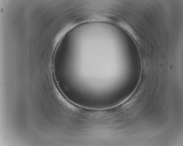 X0000075841387200609221654