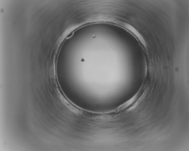 X0000075841388200609221654