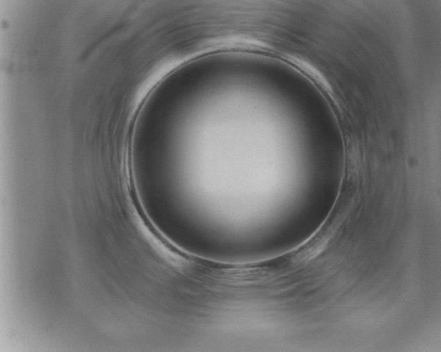 X0000075841391200609221654