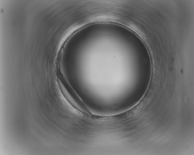 X0000075841392200609221654