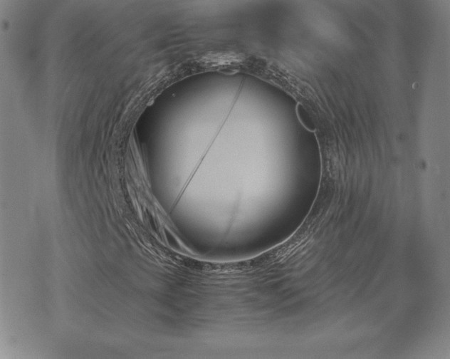 X0000075841393200609221653