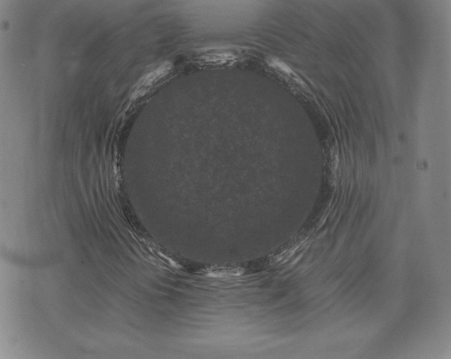 X0000075841394200609221653