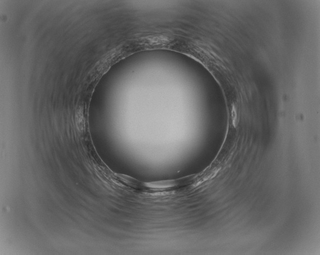 X0000075841395200609221653