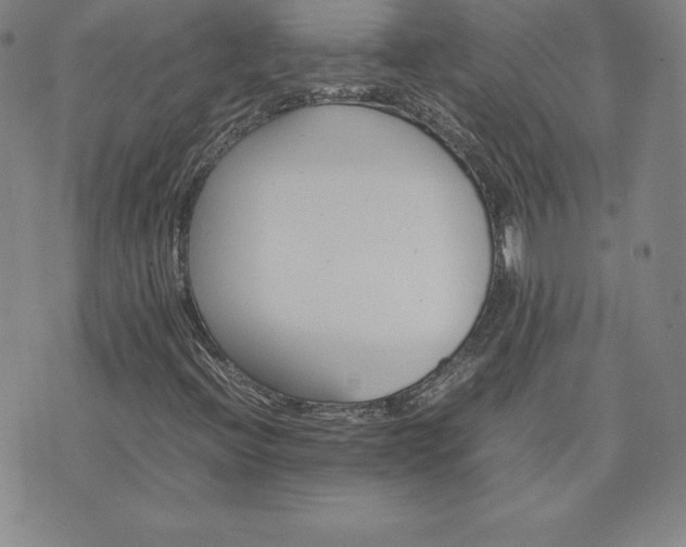 X0000075841396200609221653