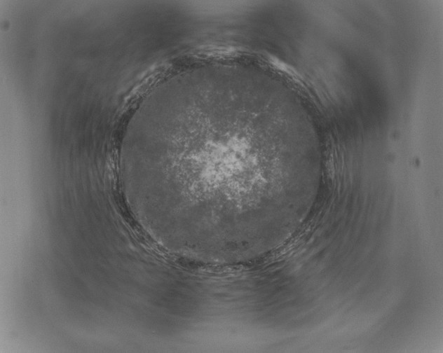 X0000075841397200609221653