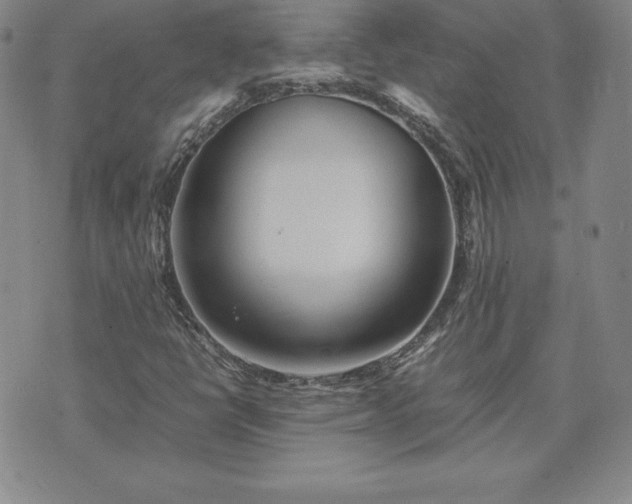 X0000075841398200609221653