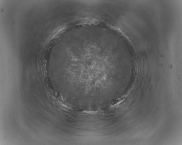 X0000075841399200609221653