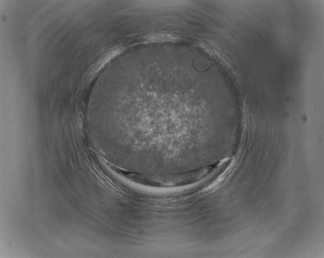 X0000075841401200609221653