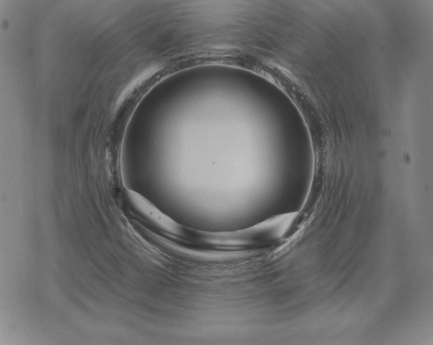 X0000075841402200609221653