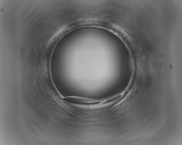 X0000075841403200609221653